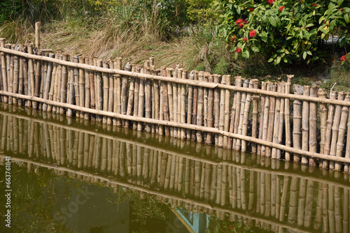 Bamboo fence, Dobanki Camp, Sunderban, South 24 Pargana, West Bengal, India photo