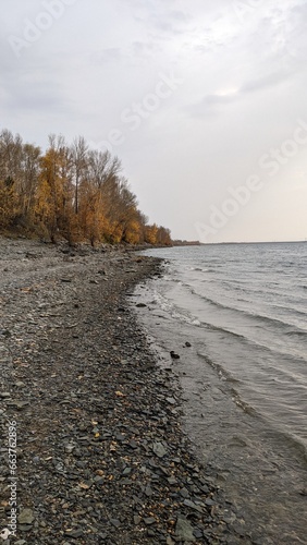 autumn landscape  stone seashore with leafless trees