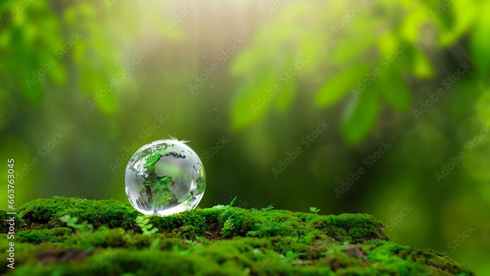 A green crystal ball with a world map on top of the green moss. environmental concept Sustainable green business Carbon credits. Copy space Leave a space to enter text. A green crystal ball with a world map on top of the green moss. environmental concept Sustainable green business Carbon credits. Copy space Leave a space to enter text.