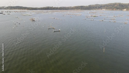 Aerial sunset view of cultivate fish on the lake such as cat fish is alternative to divers the food nutrition. photo