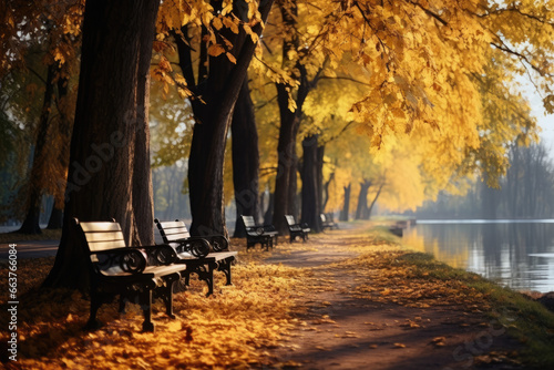 autumn park with yellow leaves