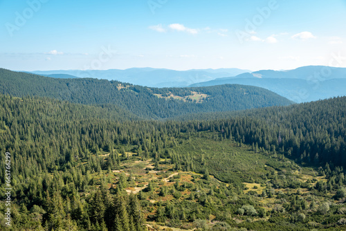 Beautiful view on forested with spruce trees mountains. Landscape of mountains in calm sunny day