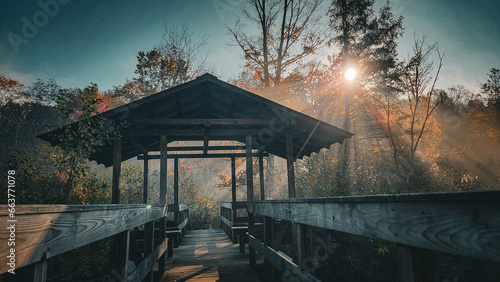 Foggy Morning Foot Bridge
Paran Frost Trail North Bennington VT
October 2023 photo