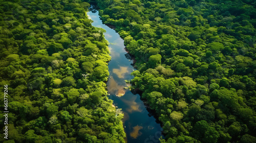 Aerial View of the Amazon Rainforest. South American
