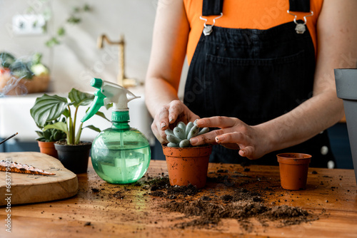 Unrecognizable person putting soil into pot with plant in daylight