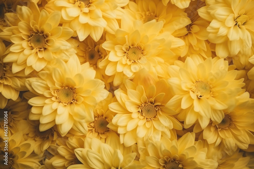 Flowers wall background. Fresh blooming flowers texture in yellow colors. Generative AI