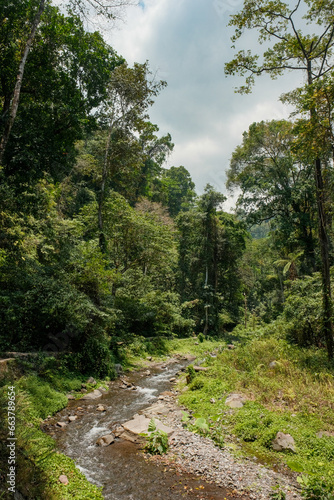 River Meandering Through Lombok's Verdant Forest