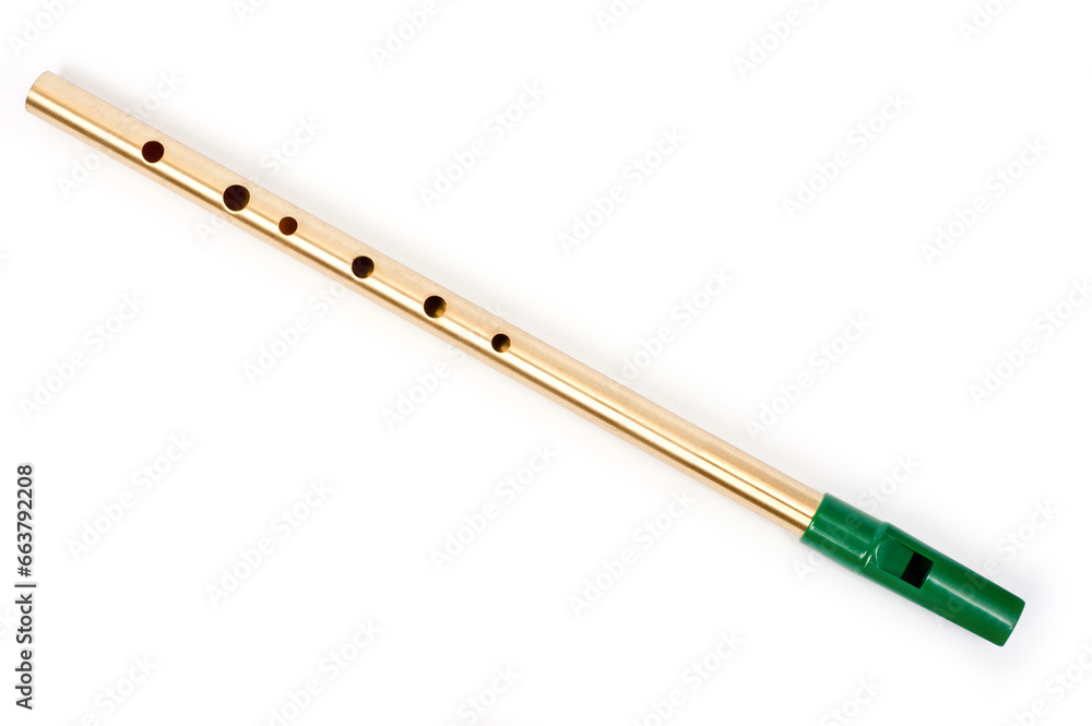 The Irish whistle is a longitudinal flute with a whistle device and six playing holes. The Irish whistle is a longitudinal flute with a whistle device and six playing holes.