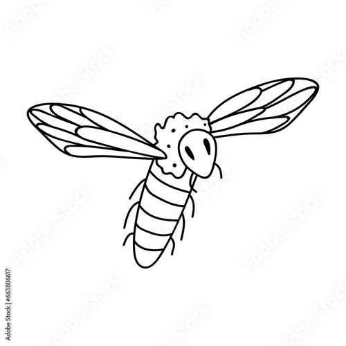 Single hand drawn bee. Doodle vector illustration. Isolated on a white background. Clip art
