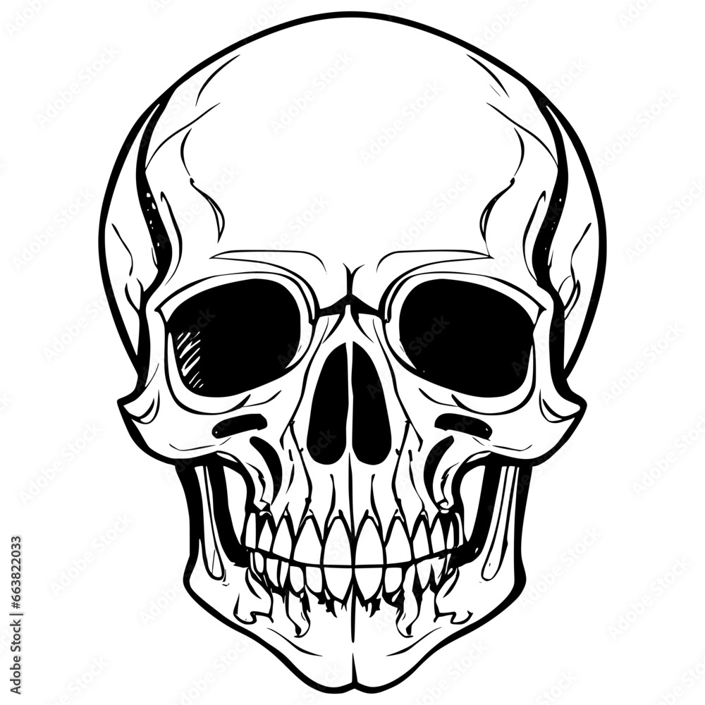 Obraz premium Skull Sketch