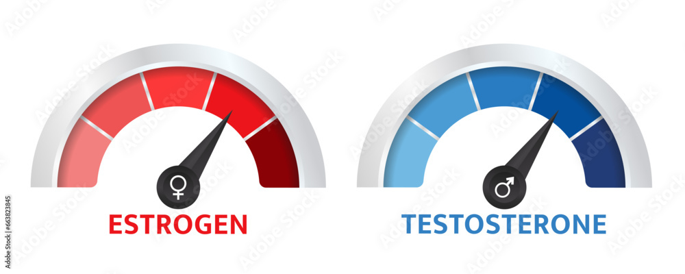 Testosterone And Estrogen Meter Sex Hormone Level Measuring Scale