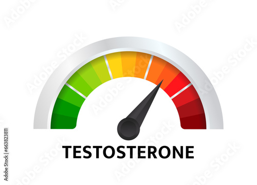 Meter of testosterone. Hormone level measuring scale. Molecular chemical formula of sex hormone. Male sex hormone. Vector illustration