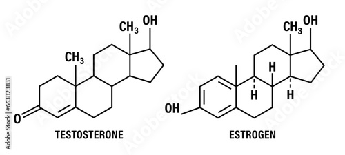 Structural chemical formulas of testosterone molecule. Molecular chemical formula of sex hormone. Male and female sex hormone. Vector illustration