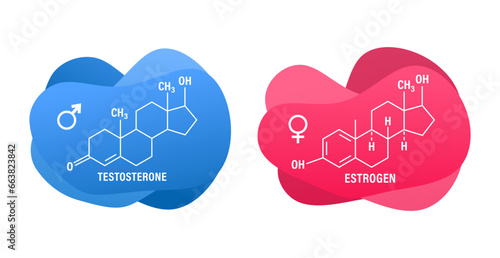 Estrogen and testosterone hormones molecular skeletal formula with pink blue color liquid fluid shapes on white background. Male and female sex hormone. Vector illustration