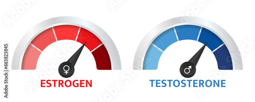 Testosterone and estrogen meter. sex Hormone level measuring scale. Molecular chemical formula of sex hormone. Male and female sex hormone. Vector illustration