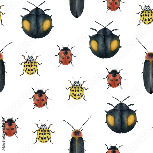 Watercolor ladybird beetles seamless pattern on transparent background. Hand-drawn insects backdrop for fabric, packaging, wrapping paper, decor © Diana Askarova