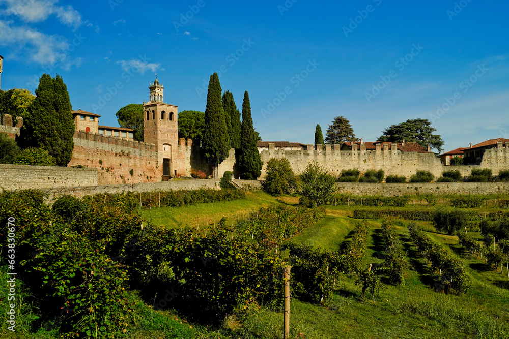 Castello di San Salvatore, Collalto, Treviso. Veneto, Italia