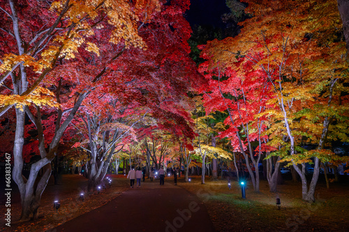 紅葉の香雪園ライトアップ