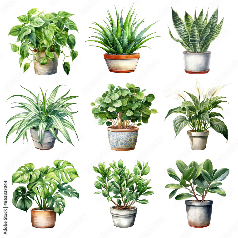 watercolor houseplant elements. set of clipart indoor plant elements ...