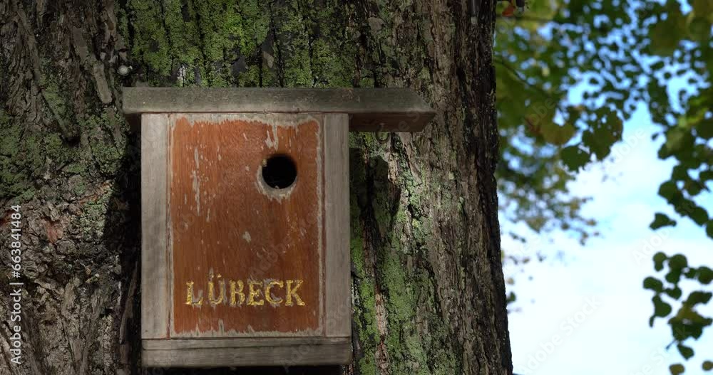 bird house on a tree with the letters bird house on a tree with the letters
