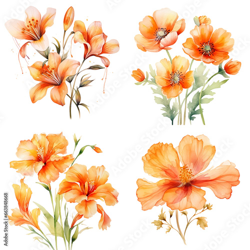 Orange flowers watercolor vector seamless pattern, Water color flower pattren paint for fabric,minimal,vintage,orange,yellow isolated on white background