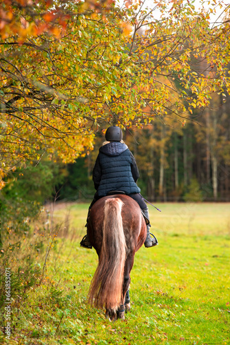 Woman horseback riding in autumn © citikka