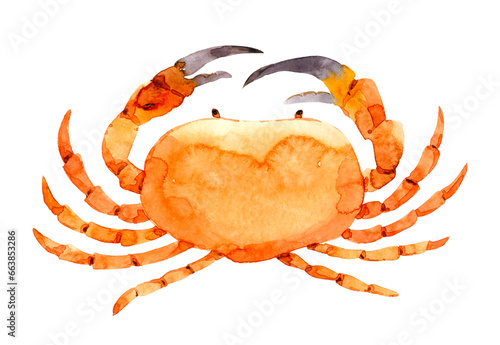 Photography Watercolor red crab