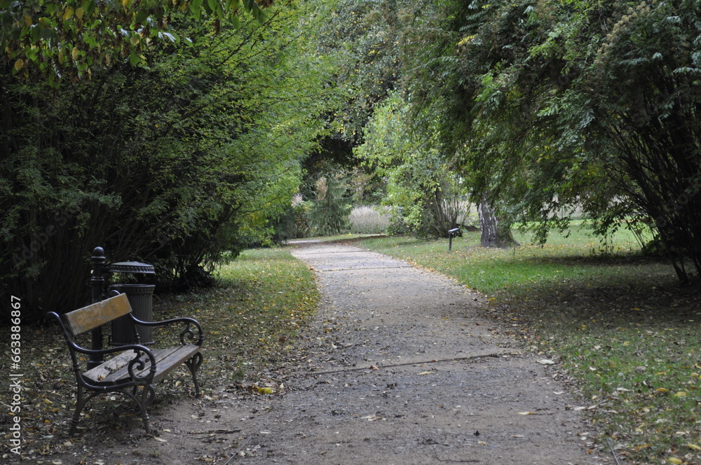 Path in the park in nature with a bench