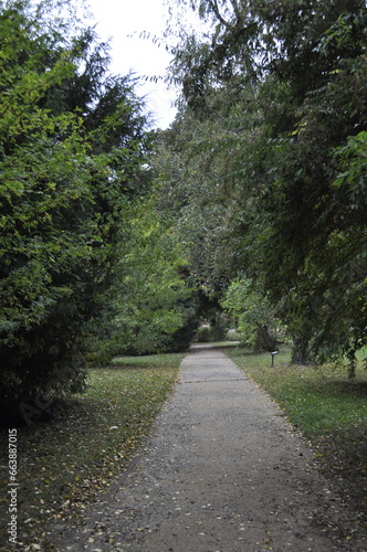 Nature path in the park