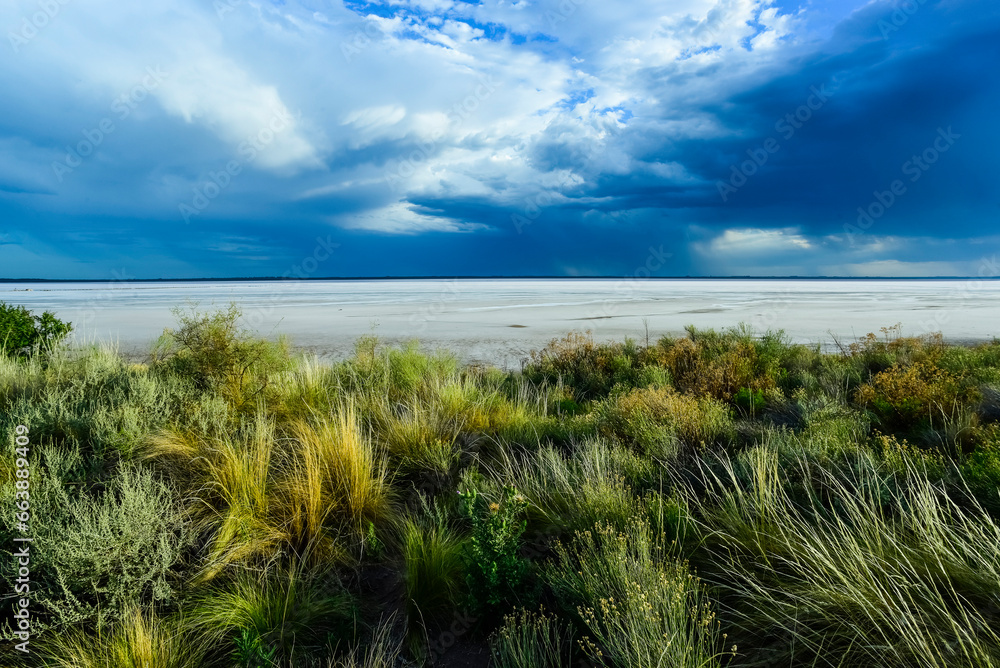Grassland landscape in a Pampas lagoon beach , La Pampa province, Patagonia, Argentina.