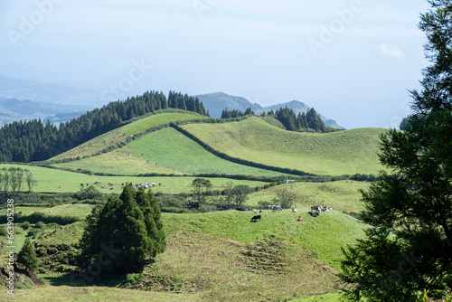 Mountainous landscapes of Pico do Carva  o on Sao Miguel Island in the Azores 