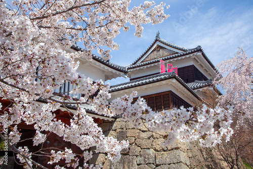 桜に包まれた春の上田城1