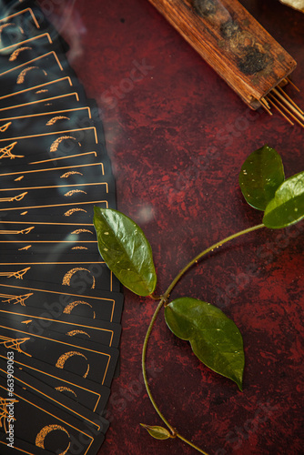 Oracle reading cards on red mat table with candles gemstones plants and encense photo