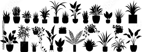 Flower pot. Vector illustration. Botanical gardens are treasure trove diverse plant species Botanic studies delve into fascinating world plants and their characteristics The field botany explores
