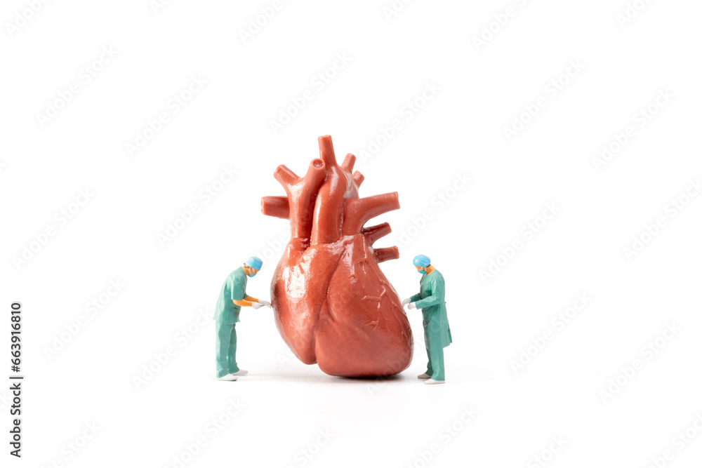 Miniature Doctor checking and analysis heart model on white background, Science and medicine concept - obrazy, fototapety, plakaty 