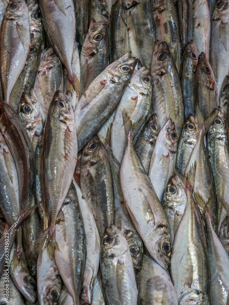 Obraz premium Sardines fraiches en vente au marché