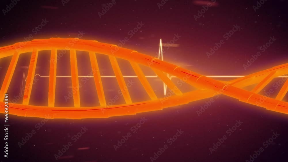 Rotating red dna strand over heartbeat monitor and processing data Rotating red dna strand over heartbeat monitor and processing data