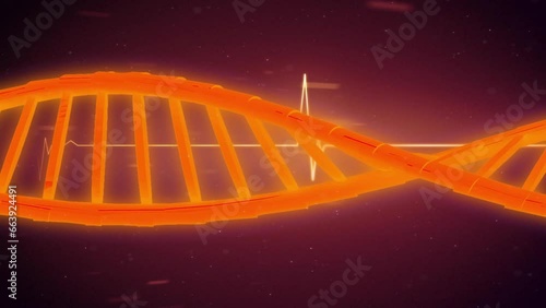 Rotating red dna strand over heartbeat monitor and processing data photo