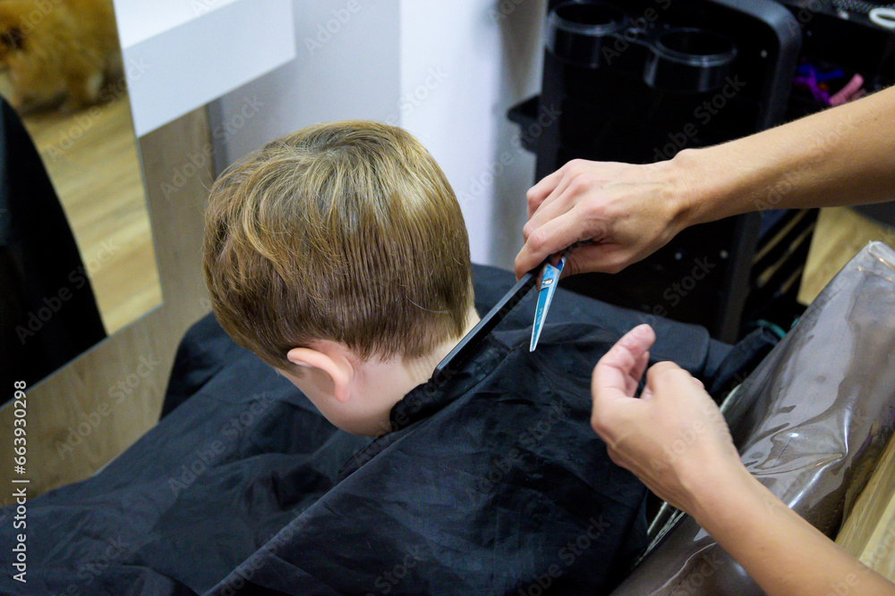 A little cute boy sits in a hairdresser's at the stylist's, a schoolchild is getting hair cut in a beauty salon, a child at a barbershop's, a short men's haircut - obrazy, fototapety, plakaty 