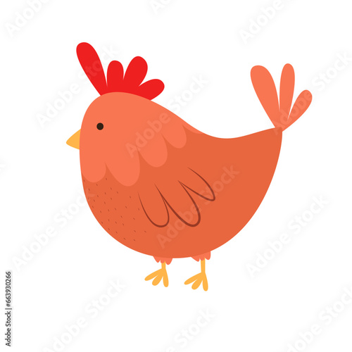 Cute red brown chicken