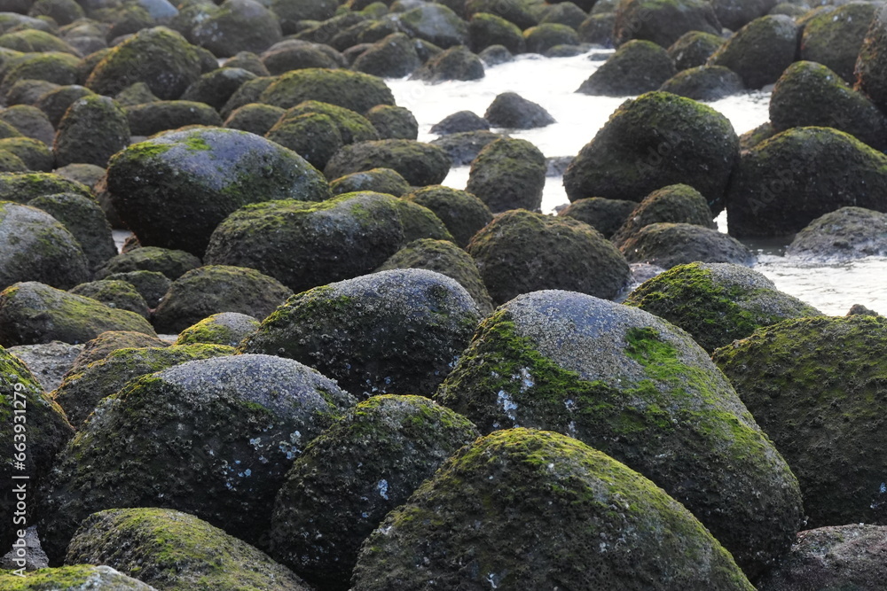 moss covered rocks