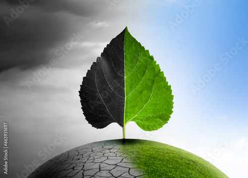 Blatt mit einer Grünen und einer Grauen Seite