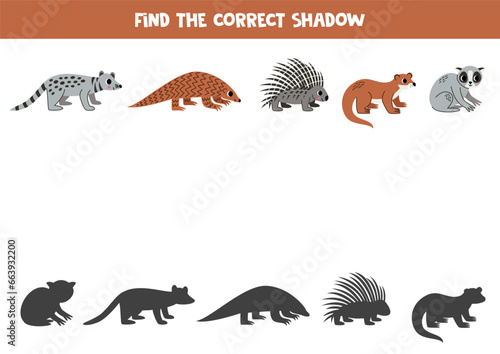 Find shadows of cute Asian animals. Educational logical game for kids.