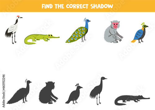 Find shadows of cute Asian animals. Educational logical game for kids.