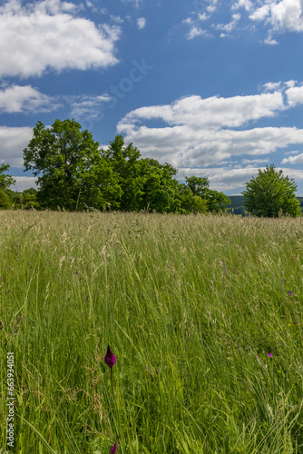 National nature reservation Vojsicke louky near Lucina,  White Carpathians, Czech Republic photo