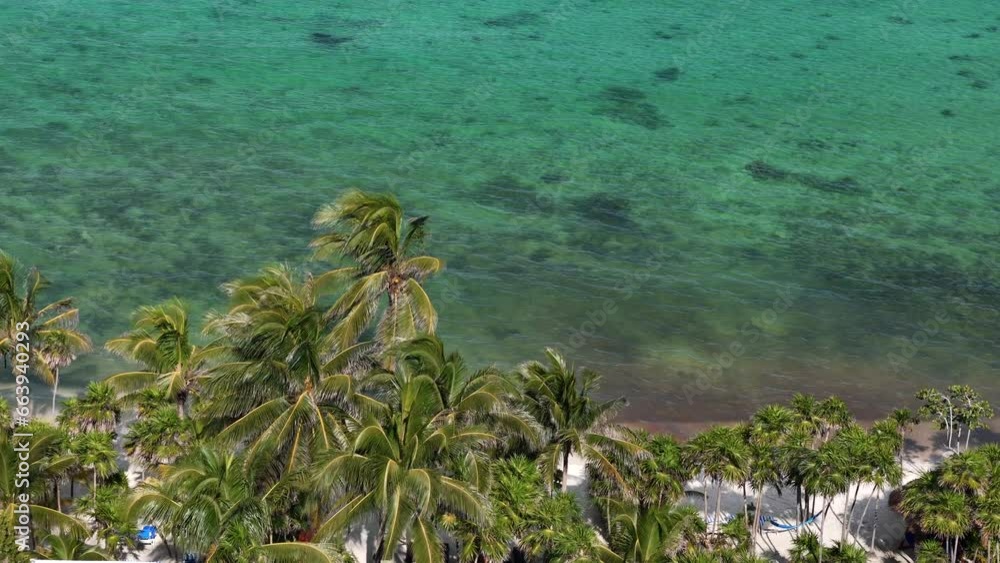 Aerial drone view of transparent blue Caribbean Sea with white sand beach and green palm tree in Tulum on a sunny day Aerial drone view of transparent blue Caribbean Sea with white sand beach and green palm tree in Tulum on a sunny day