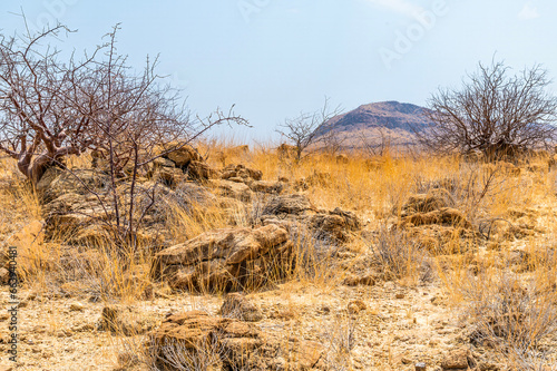 A view of the landscape around the petrified forest near Khorixas in Namibia during the dry season