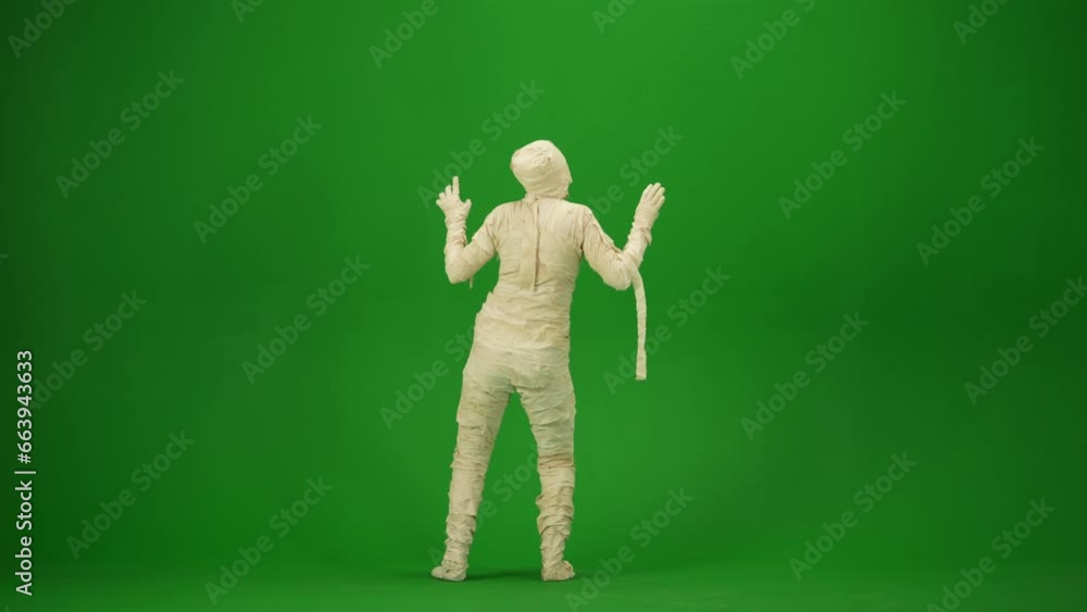 Scary mummy wrapped in bandages looks around, searches for a victim and scares with raised arms. Green screen isolated chroma key. Mock up, workspace, advertisement. Full length. Back view. Scary mummy wrapped in bandages looks around, searches for a victim and scares with raised arms. Green screen isolated chroma key. Mock up, workspace, advertisement. Full length. Back view.