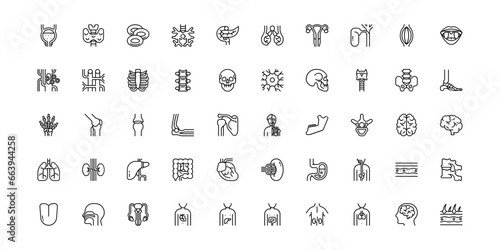organ icon set