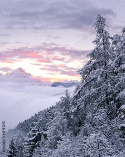 Winter landscape view with snow-covered trees and mountain peaks emerging from the cloud inversion photo